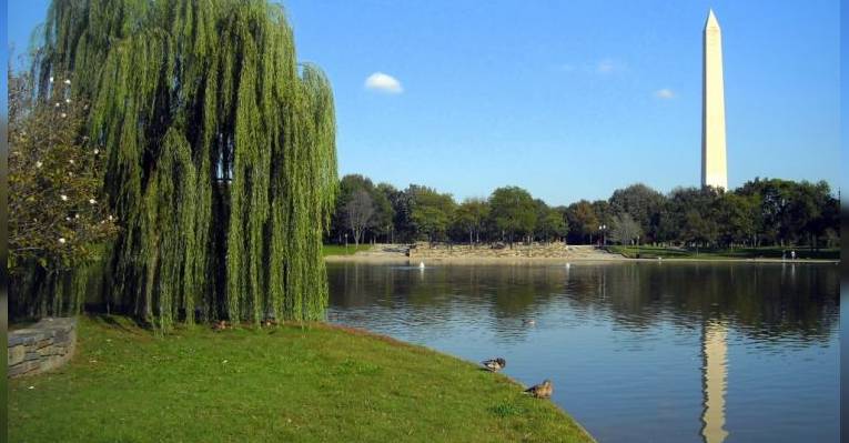 Парк Constitution Gardens. Вашингтон