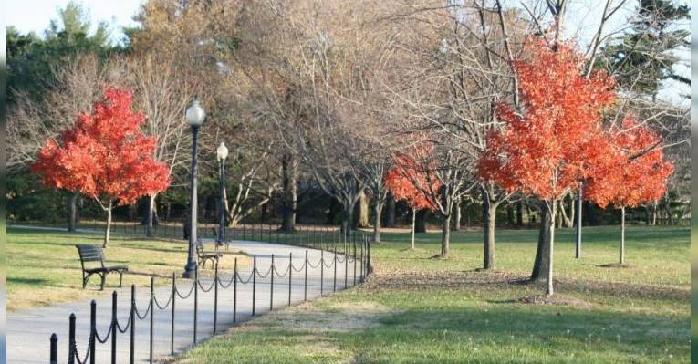 Парк Constitution Gardens. Вашингтон