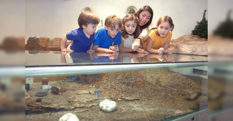 Детский музей Citta Dei Bambini