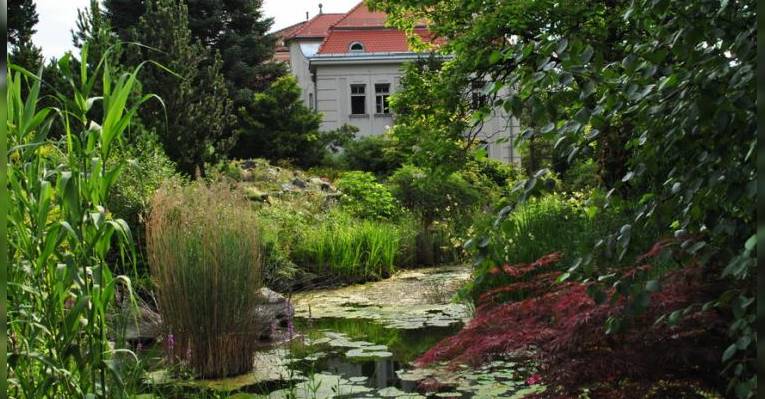 Ботанический сад Инсбрукского Университета