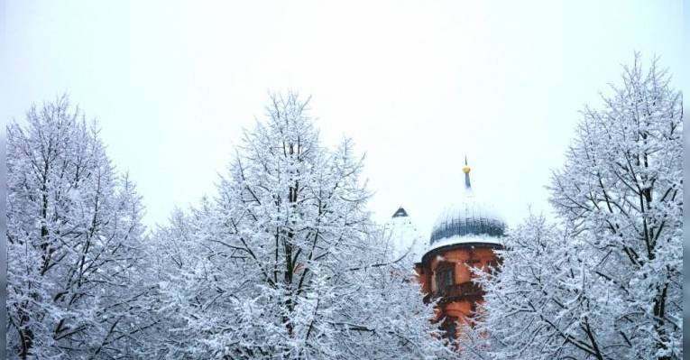 Дворец Готтесауэ. Карлсруэ