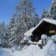 Хижина Fodinger Alm