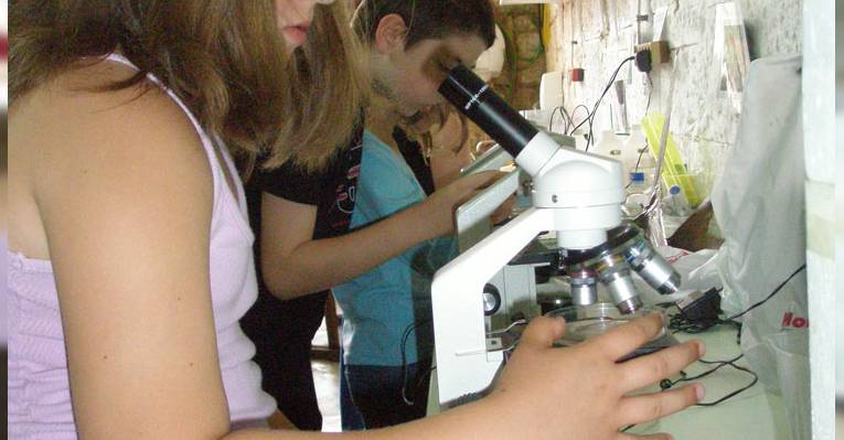 Образовательная программа по изучению микроорганизмов адриатического побережья при Аквариуме