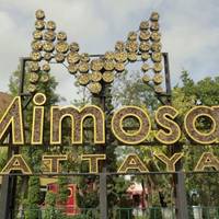Торгово-развлекательный центр Mimosa