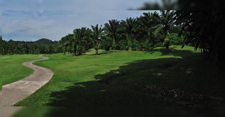 Поле для гольфа Loch Palm