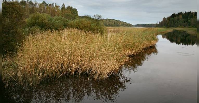 River Ilmenyoki
