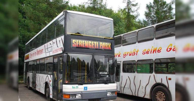 Парк Серенгети