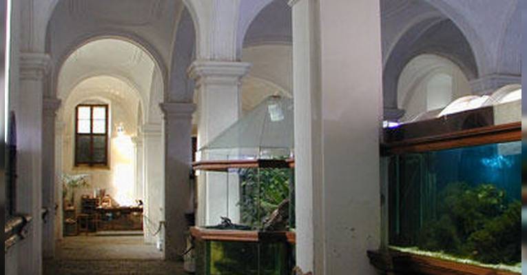Малави Аквариум