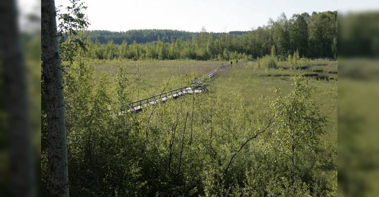 Lake Siikalahti