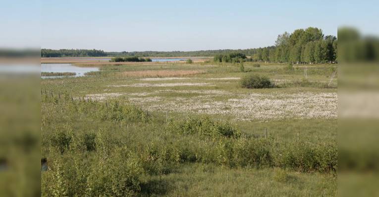 Lake Siikalahti