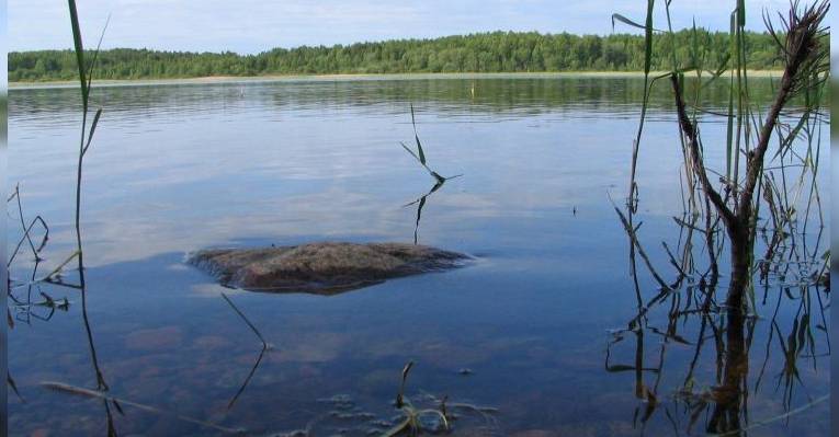 Vuoksi River