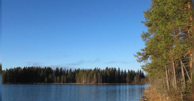 Park Tiilikkayarvi