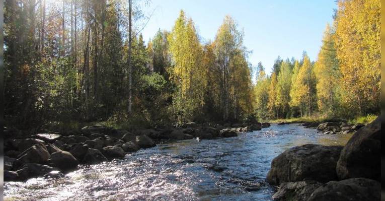 Park Tiilikkayarvi