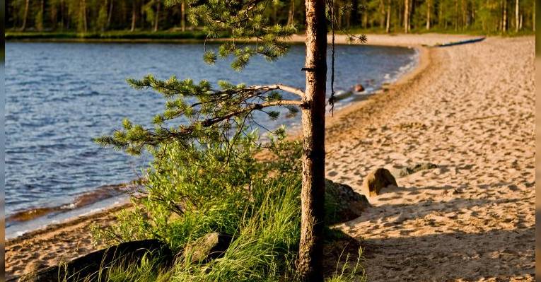 Park Tiilikkayarvi