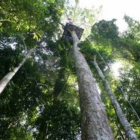 Парк приключений Eagle Track Zipline