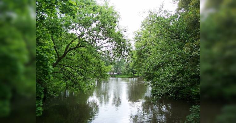Городской парк. Брауншвейг