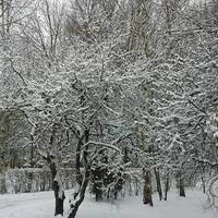 Рождественская деревня Иоулукюля