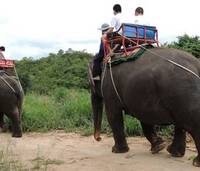 Парк Hua Hin Safari & Adventure Park