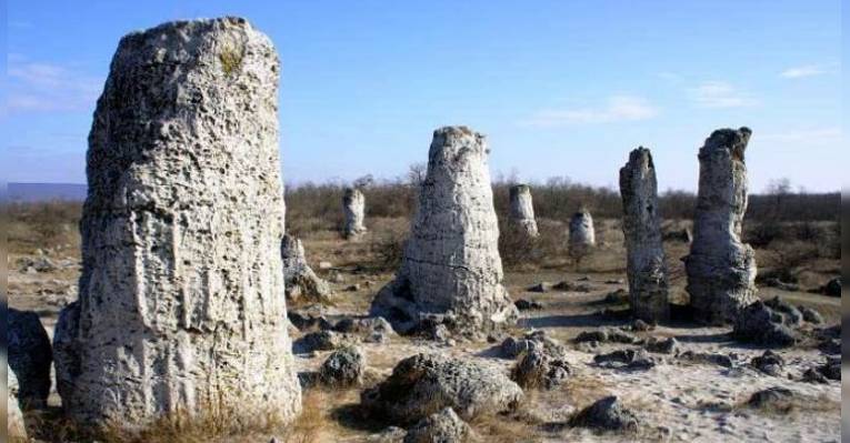 Природный заповедник