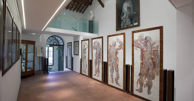 музей Museo del Corso