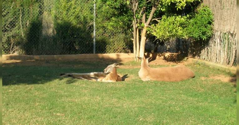 Птичий заповедник Jardín del Papagayo