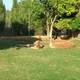 Птичий заповедник Jardín del Papagayo