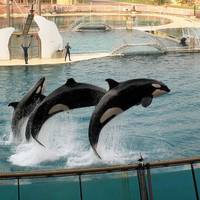 Аквапарк Marineland