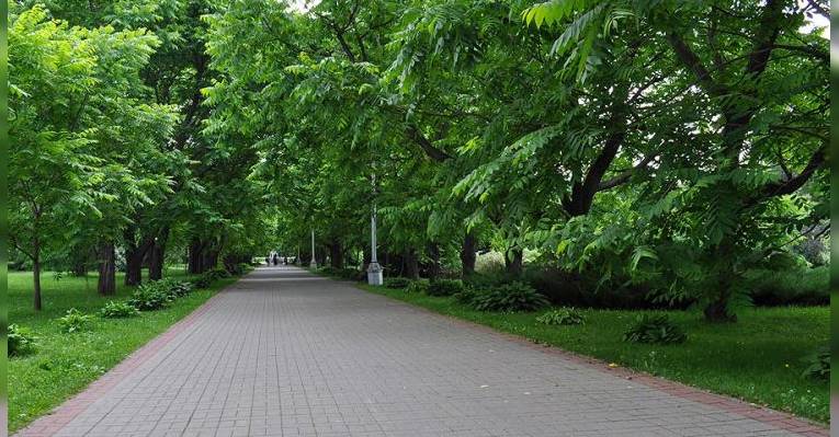 Ботанический сад. Минск