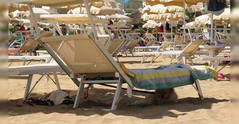 Bagno Bulli 75