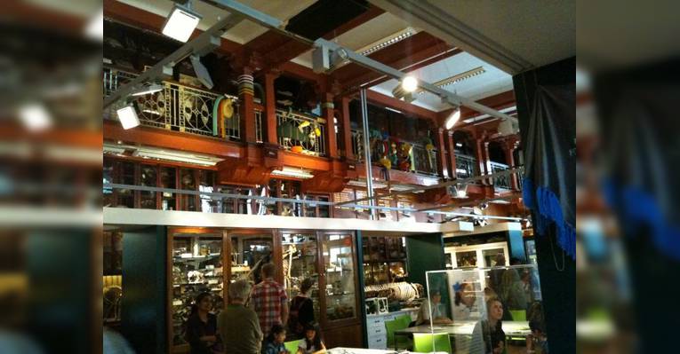 Grant Museum of Zoology