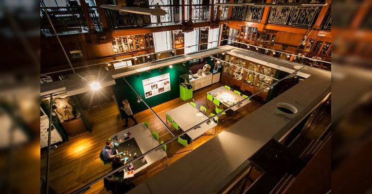 Grant Museum of Zoology