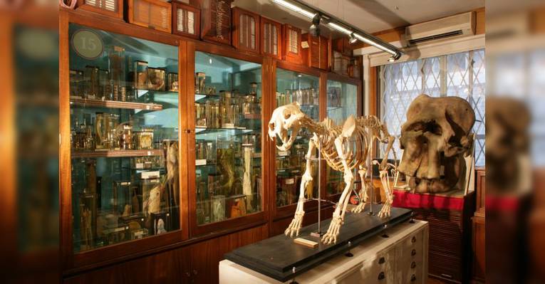 Grant Museum of Zoology