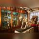 Grant Museum of Zoology
