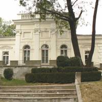 Художественная галерея имени Николы Петрова