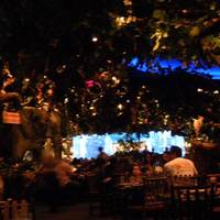 Rainforest Cafe