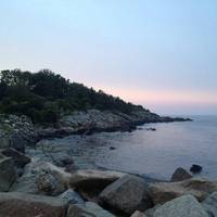 Oarweed Cove Restaurant