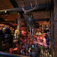 Mangy Moose Restaurant