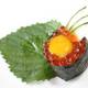 Снимок Nagoya Sushi Restaurant, Midvale