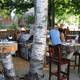 Изображение The Dog and Pony Tavern, Бар-Харбор