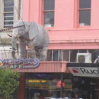 Zookeepers Cafe