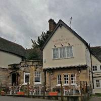 The Swan