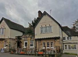 The Swan