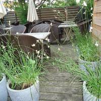 Le Jardin D'Asie