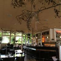 Einstein Cafe Restaurant Bar