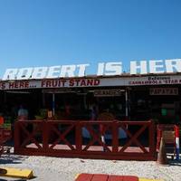Robert is Here