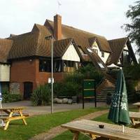 The Moorhen