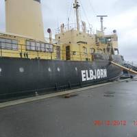 Isbryderen Elbjorn