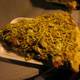Снимок Pizza Vomito, Санта-Марта