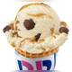 Снимок Baskin-Robbins, Бенд