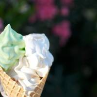 Parad'Ice